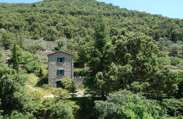 Le Camparas - House in the Cevennes with swimming pool
