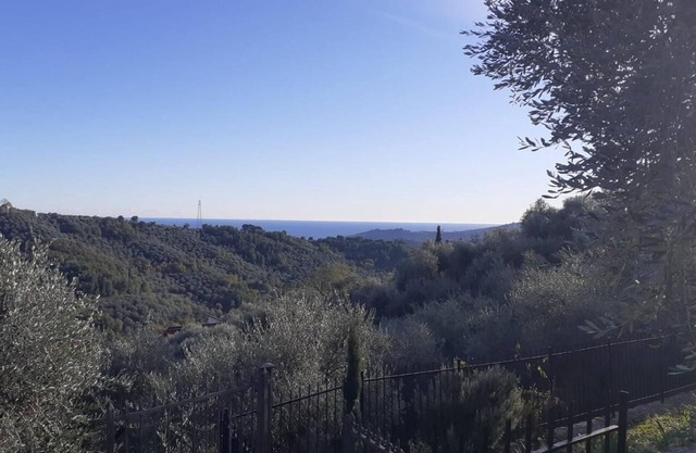 Le Casasse OLIVO - spacious country house amidst olive trees with sea view