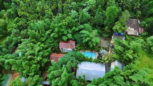 Le Eden Premium Wayanad Pool Resort