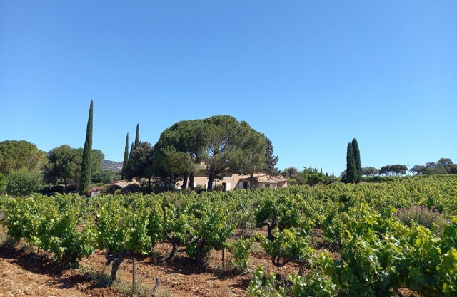 Les Lausiers, an exceptional view between Ventoux and Dentelles de Montmirail