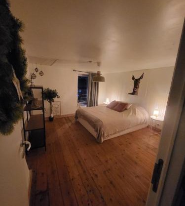 Le Grand Cerf gîte citadin