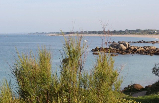 Le Grand Large: a cocoon on the beach in the heart of an exceptional environment.