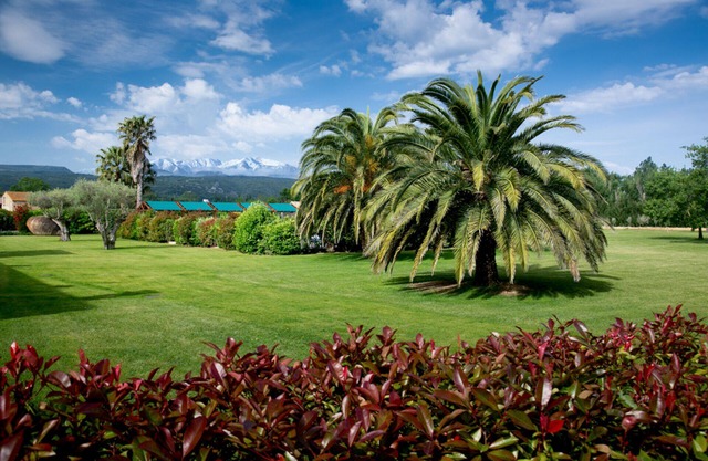 Le Mas San Julian, lodges with swimming pool, children's playroom, large garden