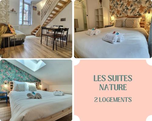 Les Suites Nature - 2 Logements - Hyper Centre