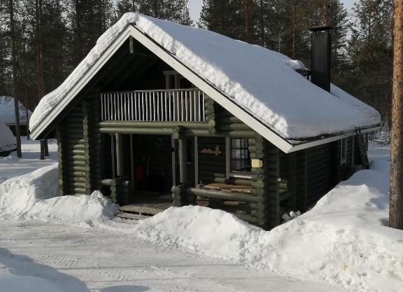 Levihaukka 10