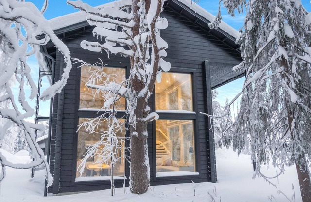 Levin hiihtäjä by Interhome