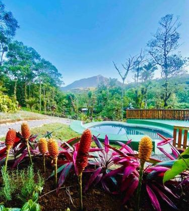 Linda Casa com piscina exclusiva e vista para a Serra do Mar