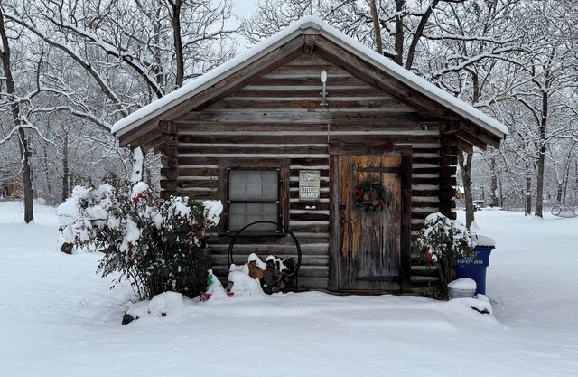 Little Dreamer log cabin