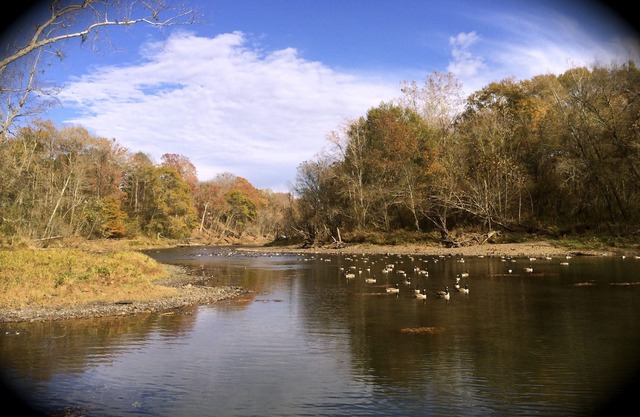 Little Red Tree House on the Little Red River on 8 Private Acres with Large Dock