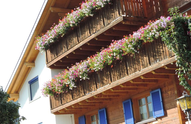 Living and relaxing on a sunny slope with a magnificent view of the mountains.