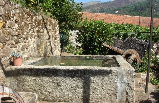 Living sorrouded by vineards in Douro