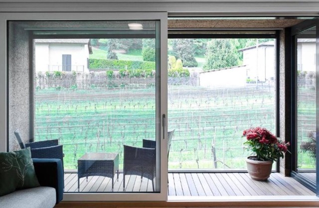 Lo Scudo di Stabio - 50 m² vineyard view SST
