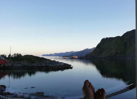 Lofotveggen Panorama
