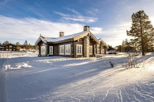 Log Cabin Near Historic Senhovd