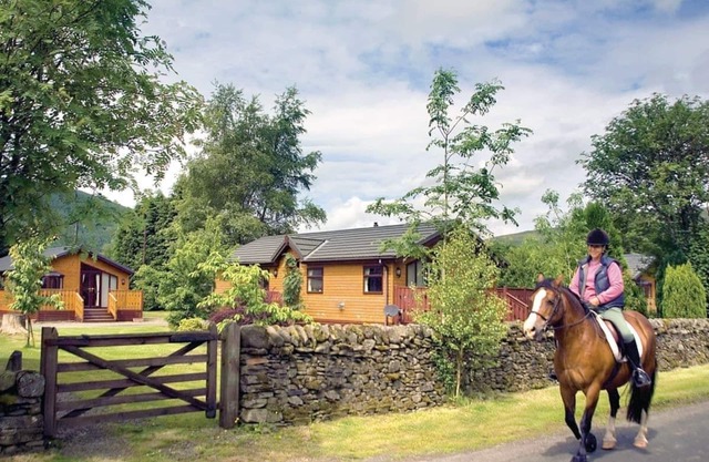 Log cabin with one double with en suite shower and two twin.