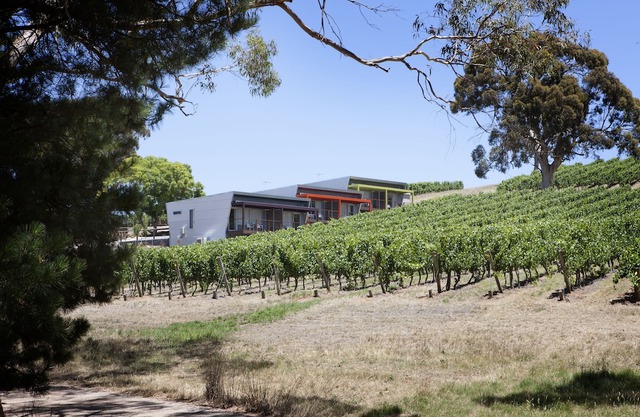 Longview Vineyard