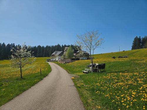 Lorenzenhäusle Titisee-Neustadt