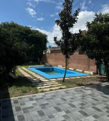 Los llamitas Jujuy