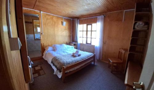Los Mañíos Del Queulat Puyuhuapi