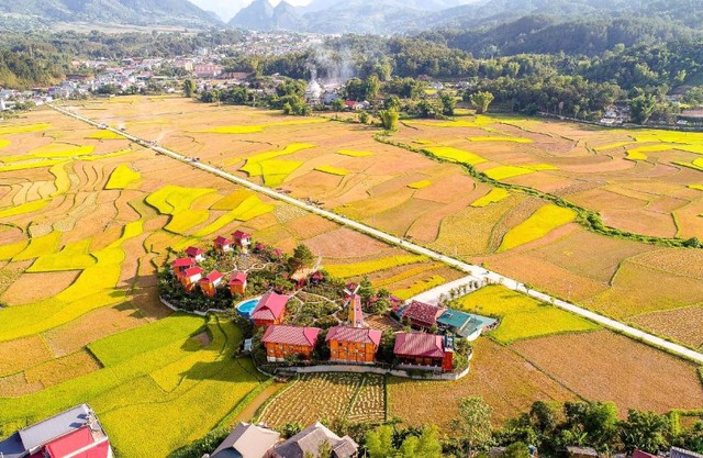 Love hill than Uyên