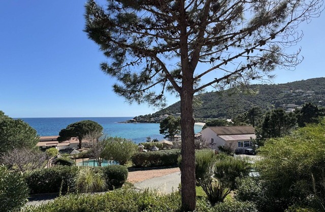 Lovely apartment for 6 guests with WIFI, A/C, pool, terrace, pets allowed and panoramic view