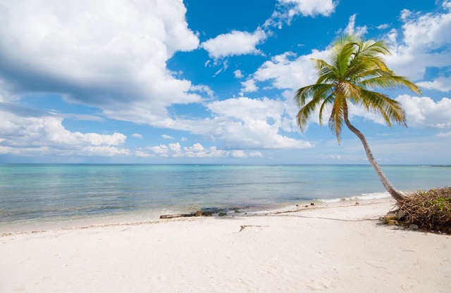 Lovely beachfront 2 BR/2BA condo. Gated community - Pool, Wifi, AC