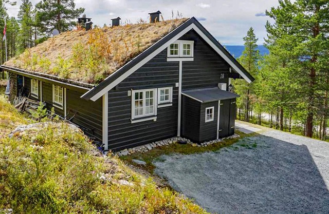 Lovely home in Rendalen with WiFi