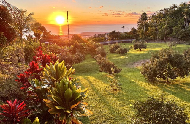 Lovely Ocean View Orchard House above Kona