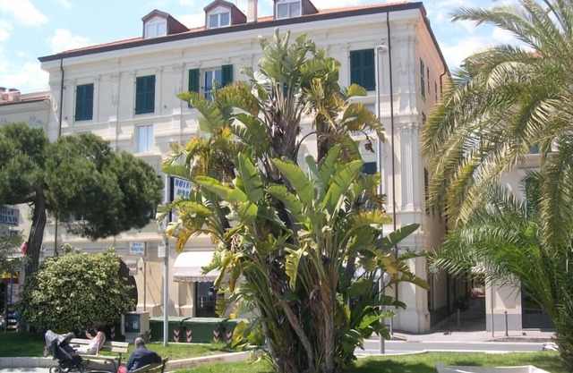 Lovely one-bedroom apartment very central, facing waterfront promenade 5 minutes beaches