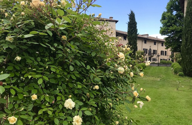 Lovely stone home with garden, in a castle near beach and 1 hour from Venice - 2