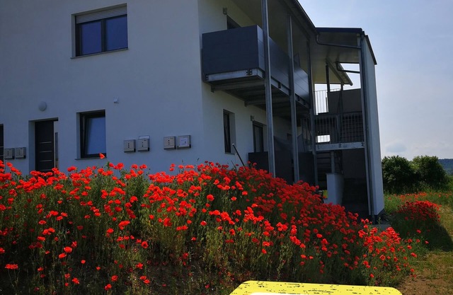 Lovingly furnished, new building