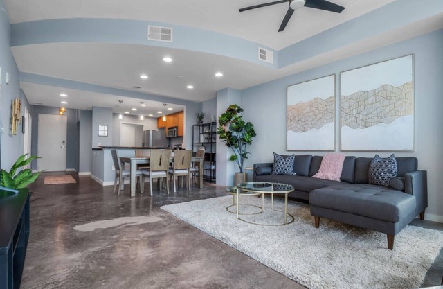 Luxurious 2/2 Downtown Apartment