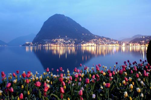 Luxurious Lugano Apartment with City Views