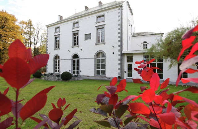 Luxurious Mettet Mansion