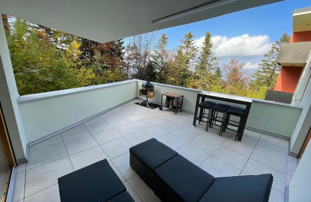 Luxury 3-room large Apartment Maribor Pohorje