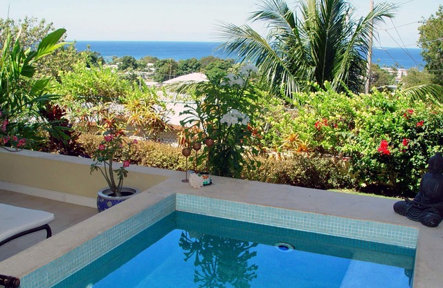 luxury apartment with plunge pool, (sole use) terrace and sea views