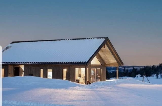 Luxury cabin: Modern and stylish