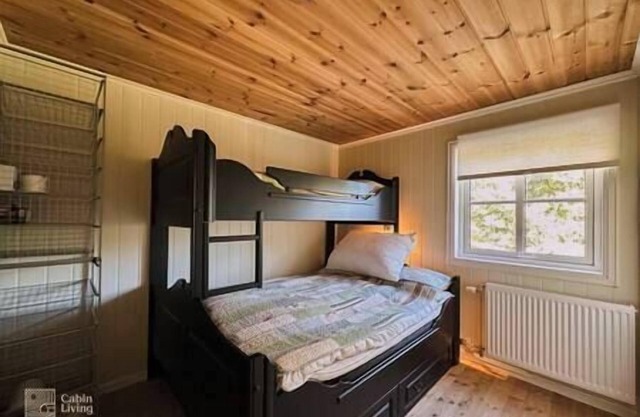 Luxury cabin Sjusjøen with hot tub, ski in/out, fireplace & WiFi