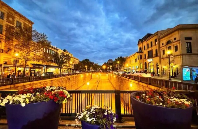 Luxury Design in the Heart of Dupont