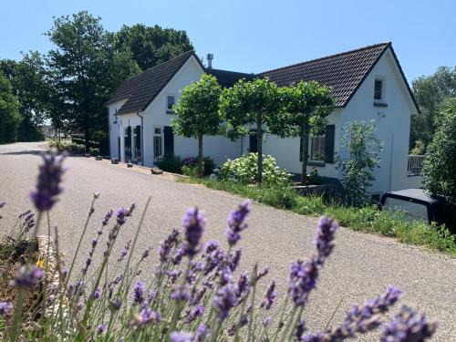 Luxury Guest House - Eik op de dijk