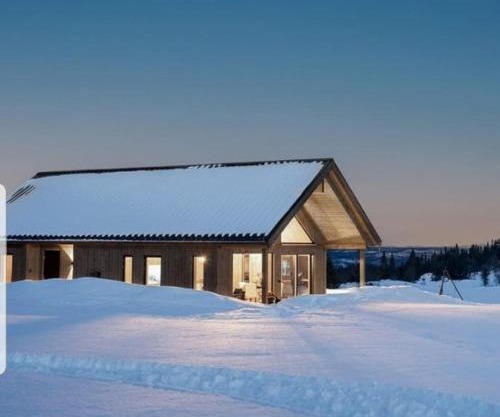 Luxury Mountain Cabin Modern and Stylish