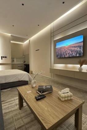 Luxury Smart Entry Studio
