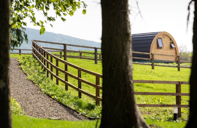 Luxury two-bed Glamping Pod in County Clare 2