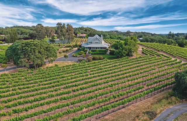 Lytton Station Vineyard - Stunning 360-degree vineyard views