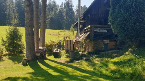 Mühle am Wolfsgrund
