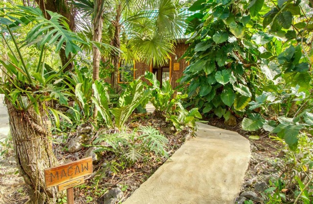 Macaw Family Cabana at Mariposa Gold Standard Certified