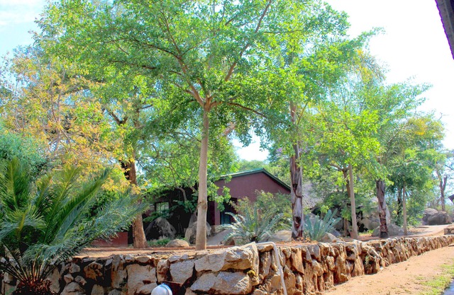 Macheke Lodges & Conference Centre