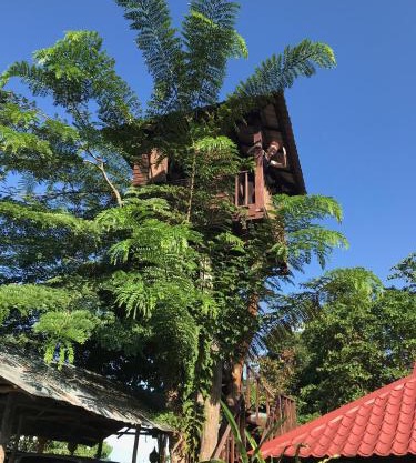 Mae Chan Treehouse with swimming pool