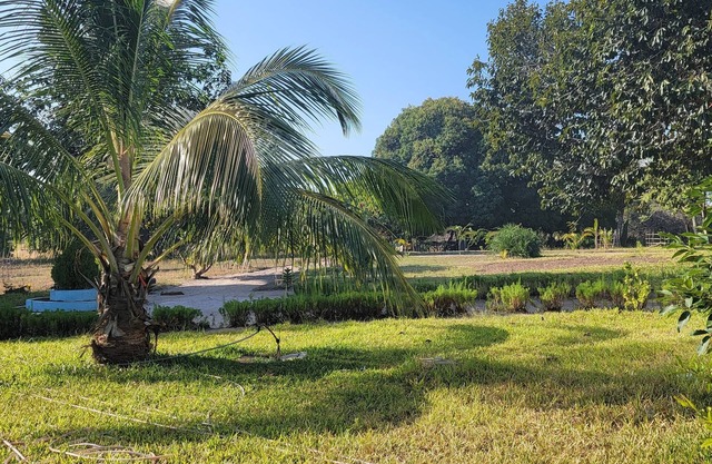 Mafia Fabu Lodge