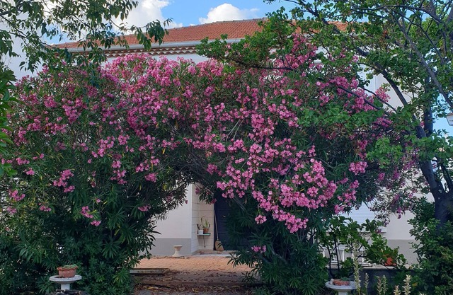 Maison de Famille